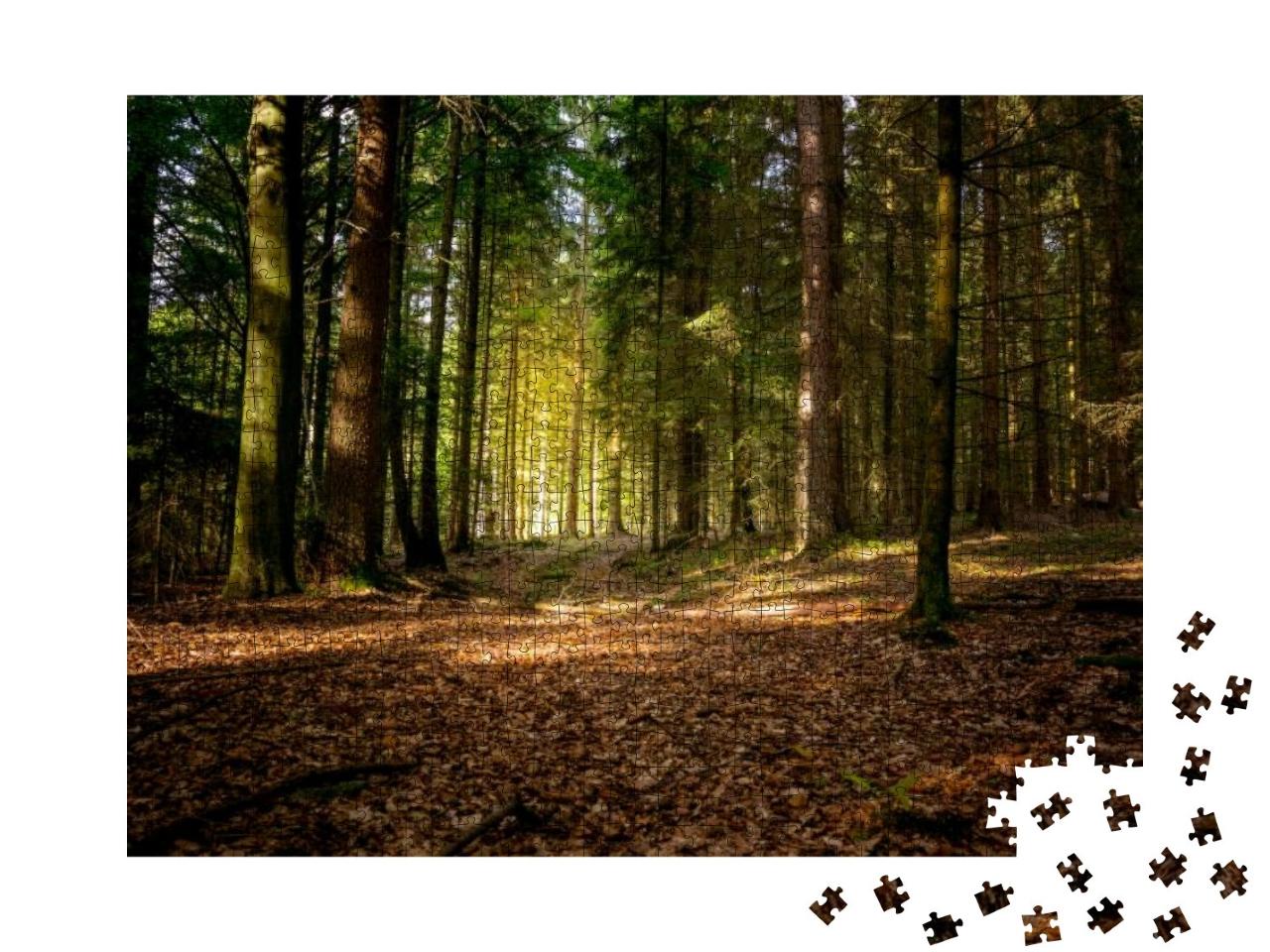 Sun in the Autumn in the Bavarian Forest with Great Sunli... Jigsaw Puzzle with 1000 pieces