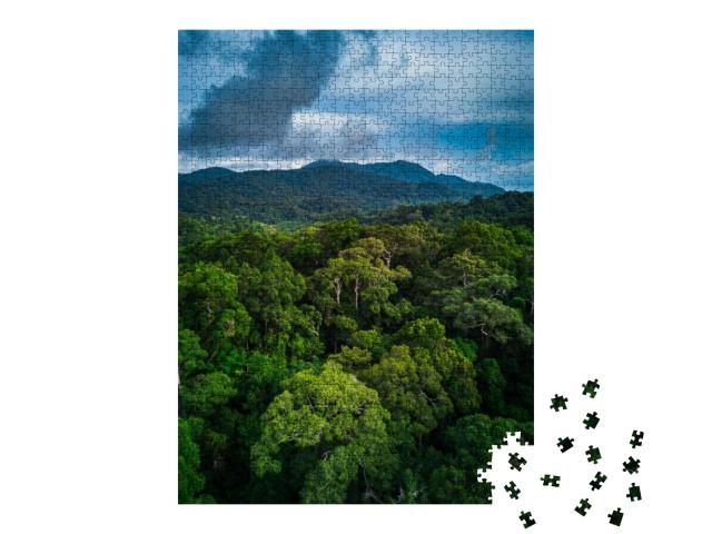 Top View Aerial Shot of a Beautiful Landscape with a Trop... Jigsaw Puzzle with 1000 pieces