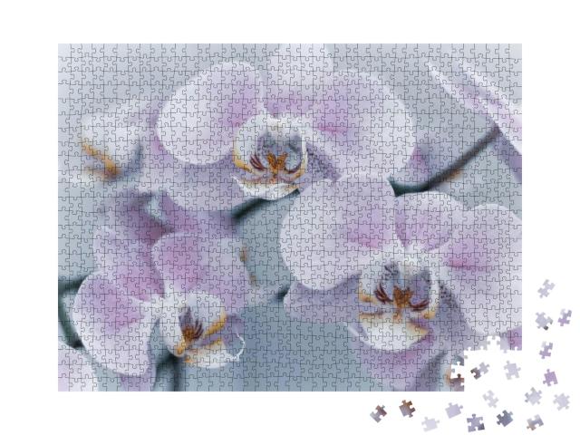 Beautiful Delicate Orchid Flowers Shot in Soft Light... Jigsaw Puzzle with 1000 pieces