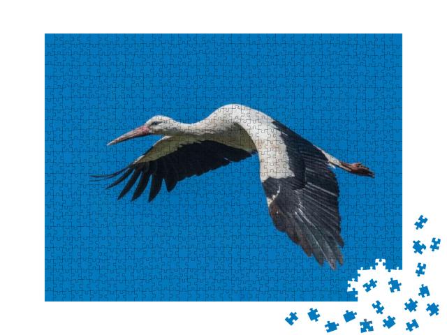 White Stork Flying... Jigsaw Puzzle with 1000 pieces