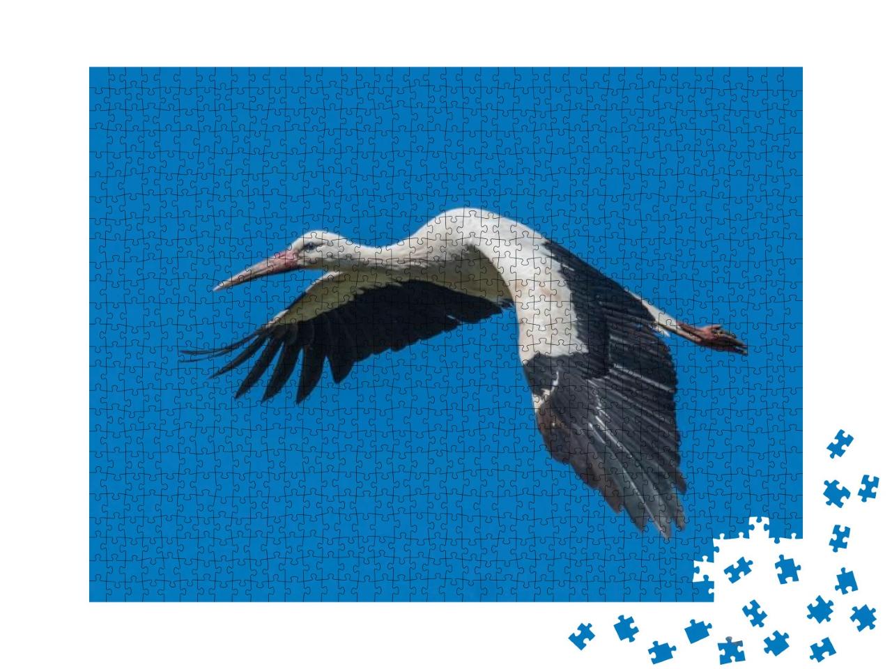 White Stork Flying... Jigsaw Puzzle with 1000 pieces