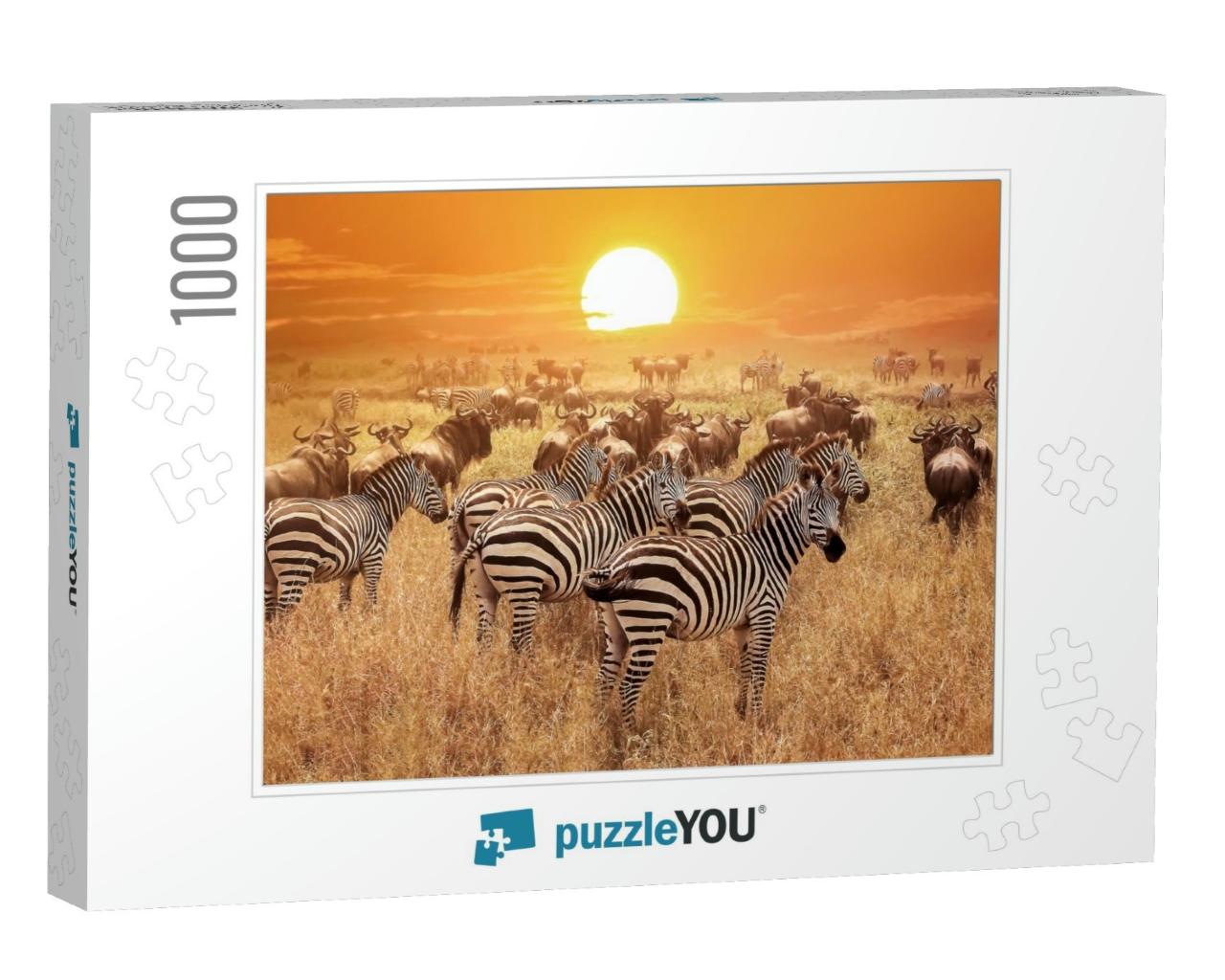 Zebra At Sunset in the Serengeti National Park. Africa. T... Jigsaw Puzzle with 1000 pieces
