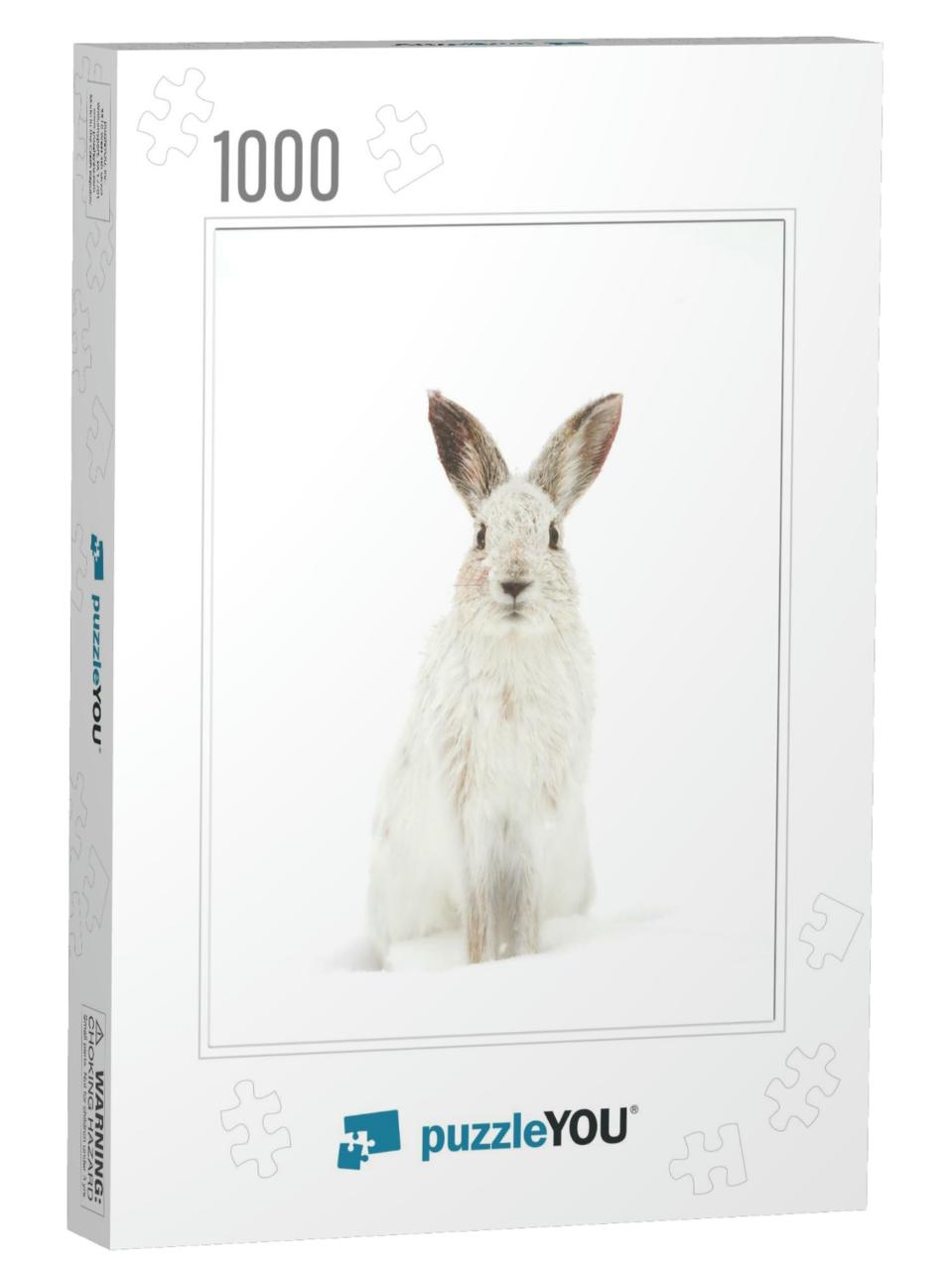White Snowshoe Hare or Varying Hare Isolated on White Bac... Jigsaw Puzzle with 1000 pieces
