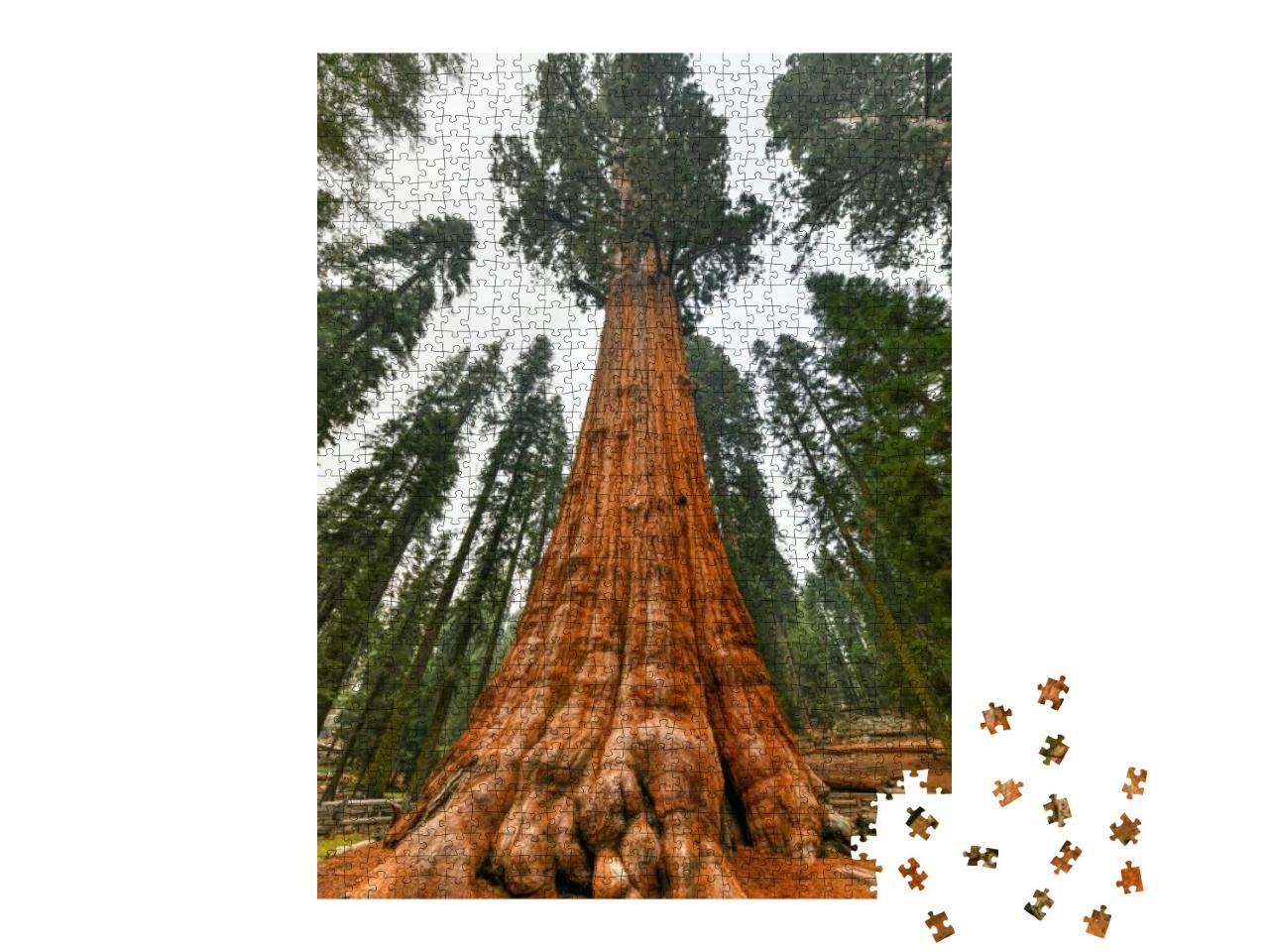 Giant Sequoia Tree - General Sherman in Sequoia National... Jigsaw Puzzle with 1000 pieces