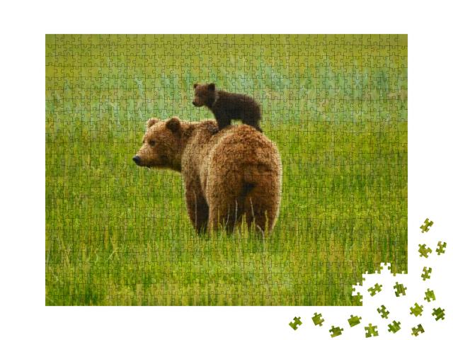 Coastal Brown Bears... Jigsaw Puzzle with 1000 pieces