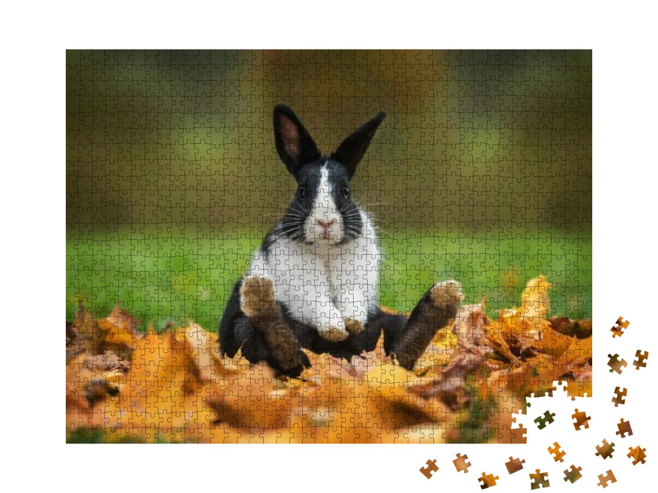 Little Funny Rabbit Sitting in Leaves in Autumn... Jigsaw Puzzle with 1000 pieces