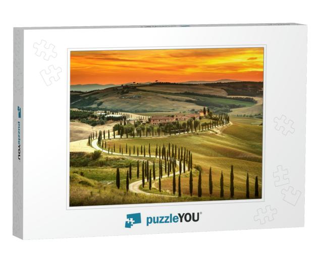 Tuscany, Rural Sunset Landscape. Countryside Farm, Cypres... Jigsaw Puzzle
