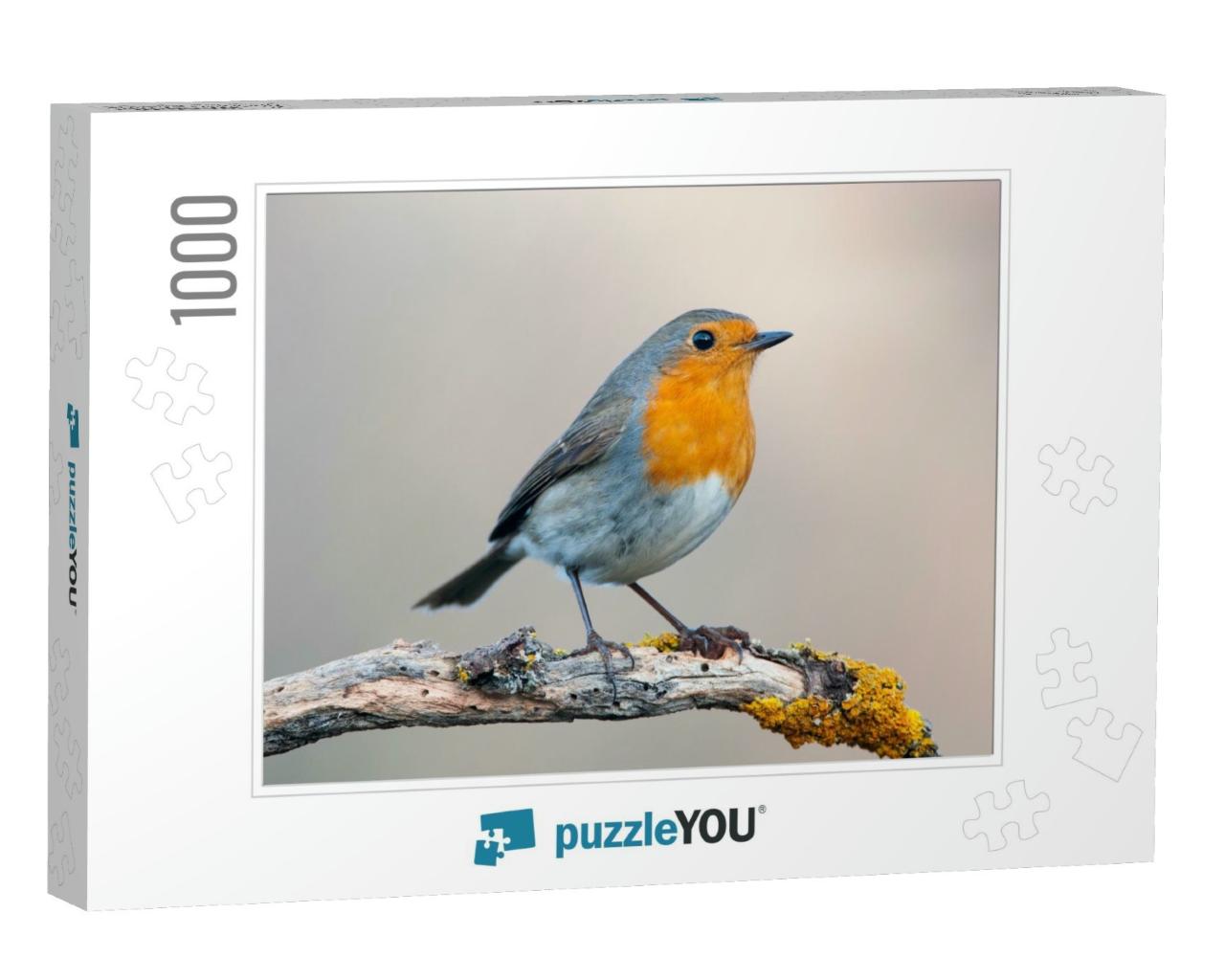 Robin - Erithacus Rubecula, Standing on a Branch... Jigsaw Puzzle with 1000 pieces