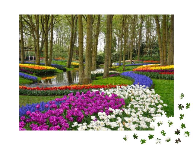 Colorful Blooming Tulips in Keukenhof Park in Holland... Jigsaw Puzzle with 1000 pieces