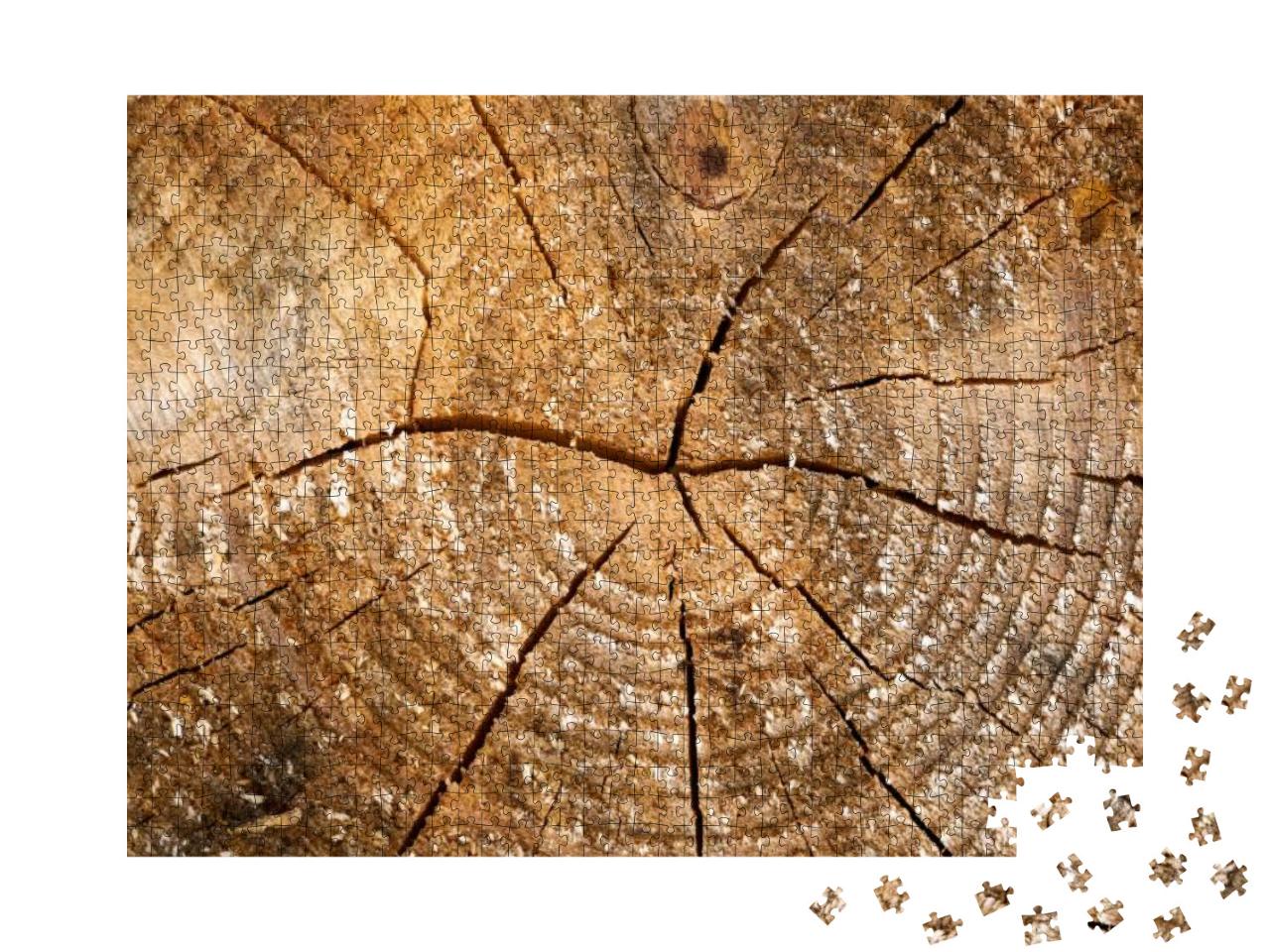 Tree Rings Old Weathered Wood Texture with the Cross Sect... Jigsaw Puzzle with 1000 pieces