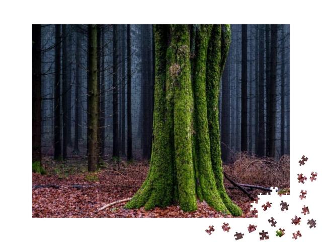 Mossy Tree Trunk in Autumn Forest. Forest Mist Tree Moss... Jigsaw Puzzle with 1000 pieces