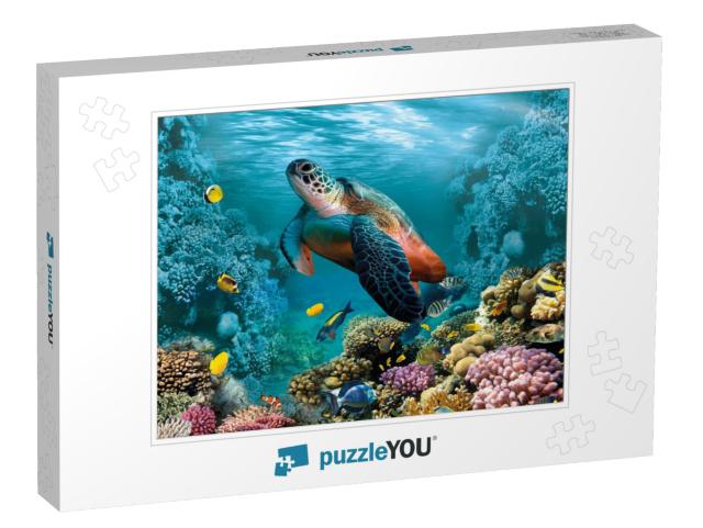 Image for 3D Floor. Underwater World. Turtle. Corals... Jigsaw Puzzle