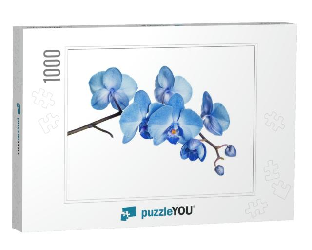 Blossoming Branch of Blue Orchid Flower Isolated on a Whi... Jigsaw Puzzle with 1000 pieces