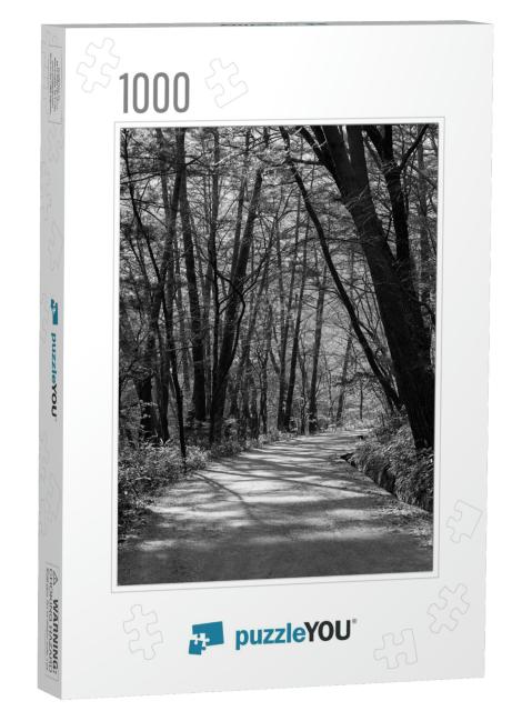 Black & White Photo of a Walkway Where Trees Grow Well on... Jigsaw Puzzle with 1000 pieces