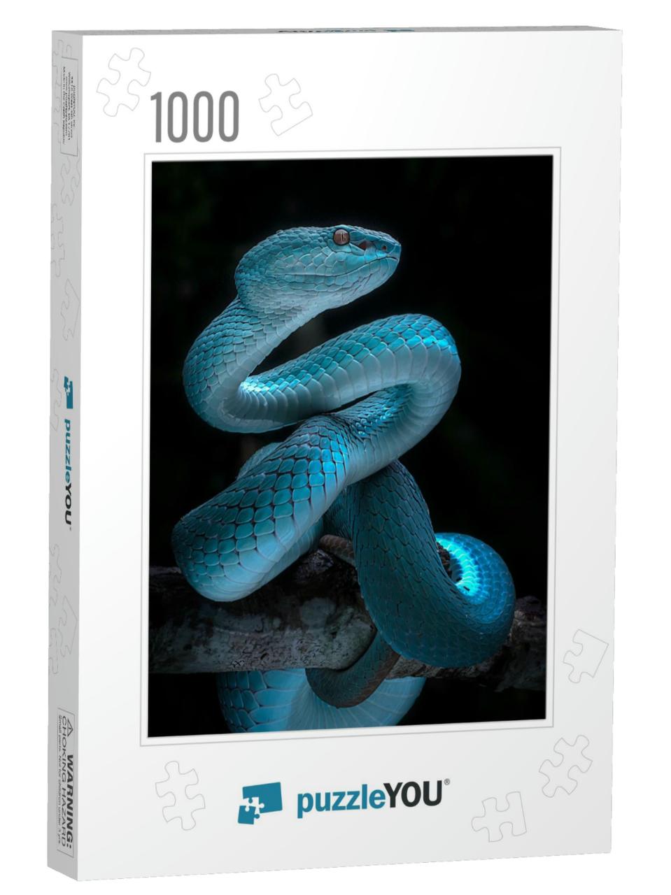 Venomous Viper Snake - Reptile/Snake Photo Series... Jigsaw Puzzle with 1000 pieces