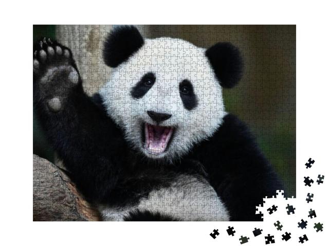 A Playful Happy Panda in China... Jigsaw Puzzle with 1000 pieces