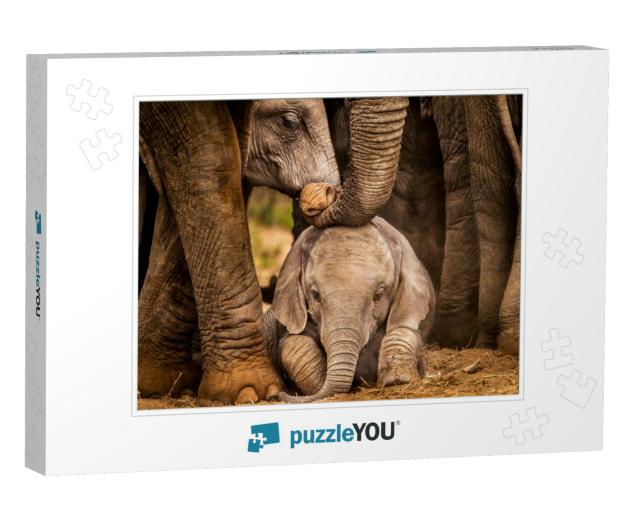 Baby African Elephant Under the Protection of the Adults... Jigsaw Puzzle