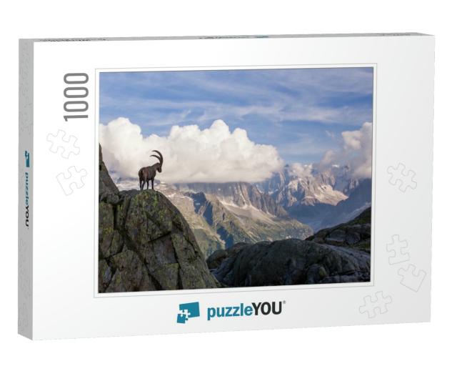 Wild Ibex in Front of Iconic Mont-Blanc Mountain Range on... Jigsaw Puzzle with 1000 pieces