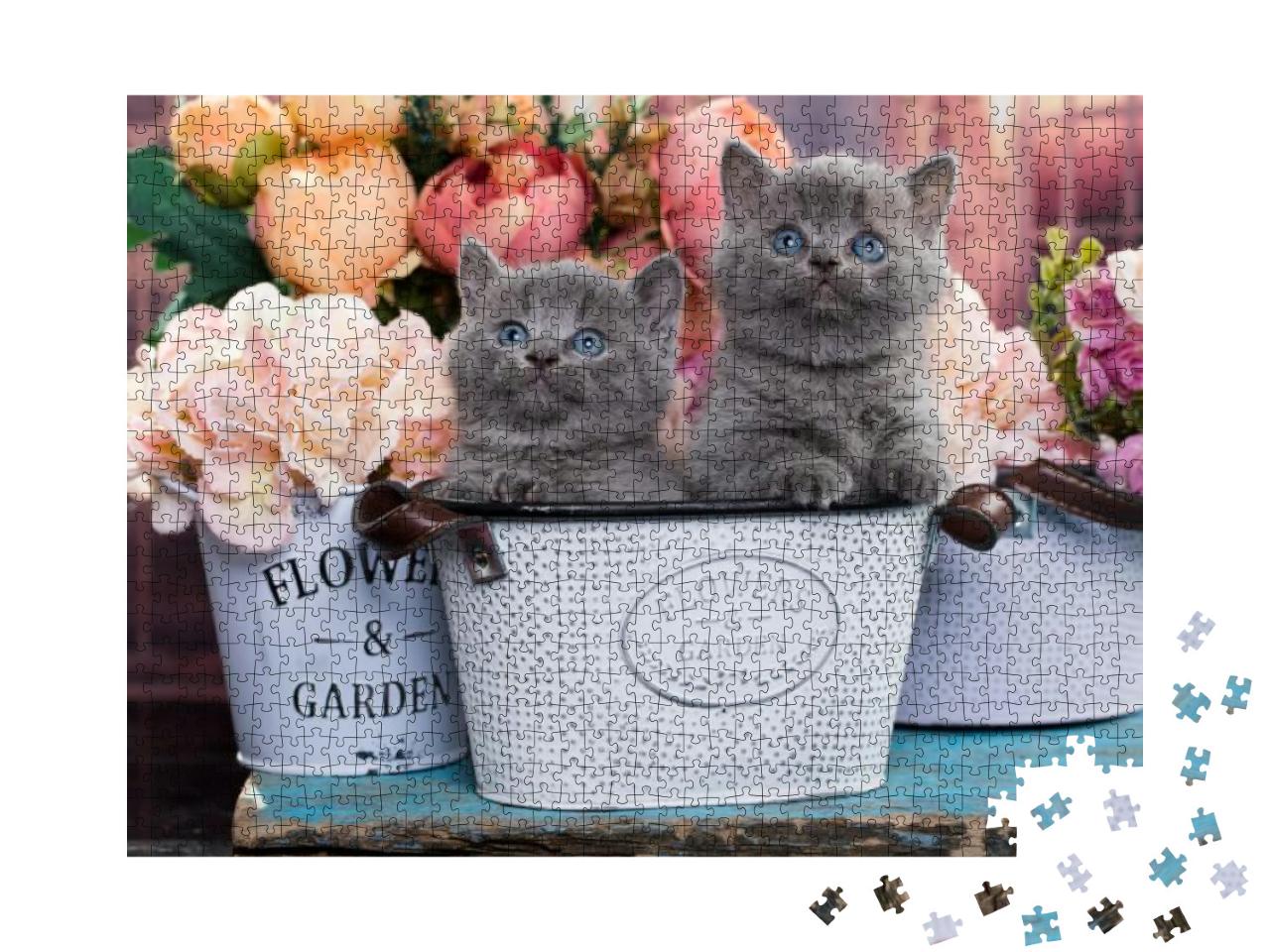 Kittens & Flowers... Jigsaw Puzzle with 1000 pieces
