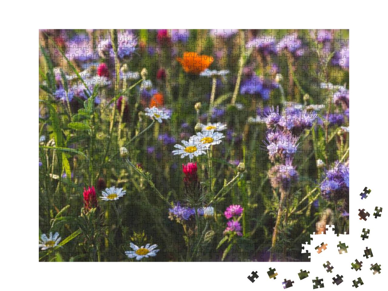 Colorful Flowering Herb Meadow with Purple Blooming Phace... Jigsaw Puzzle with 1000 pieces