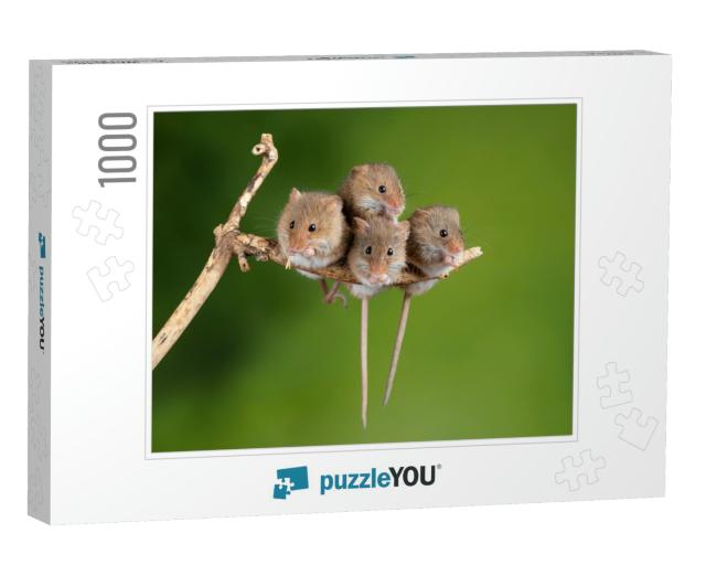 Cute Harvest Mice Micromys Minutus on Wooden Stick with N... Jigsaw Puzzle with 1000 pieces