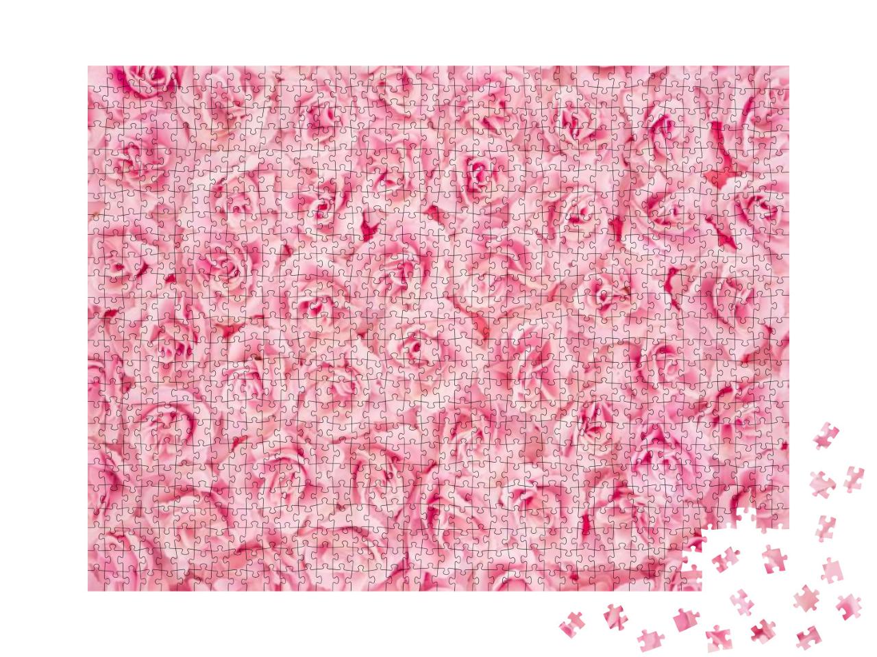 Background Image of Pink Roses... Jigsaw Puzzle with 1000 pieces