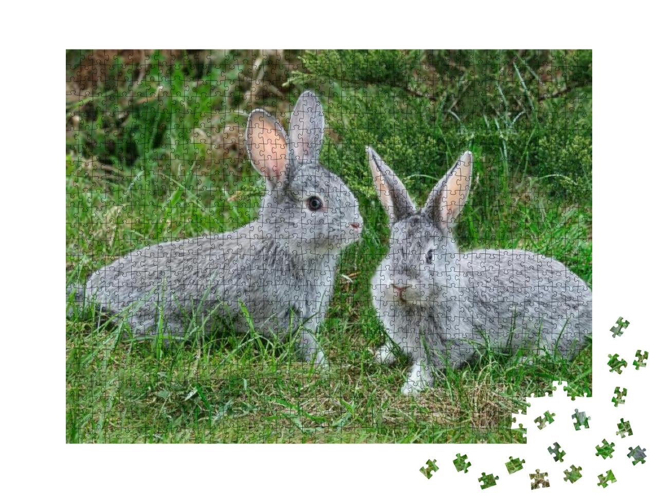 Fluffy Rabbits on the Green Grass... Jigsaw Puzzle with 1000 pieces