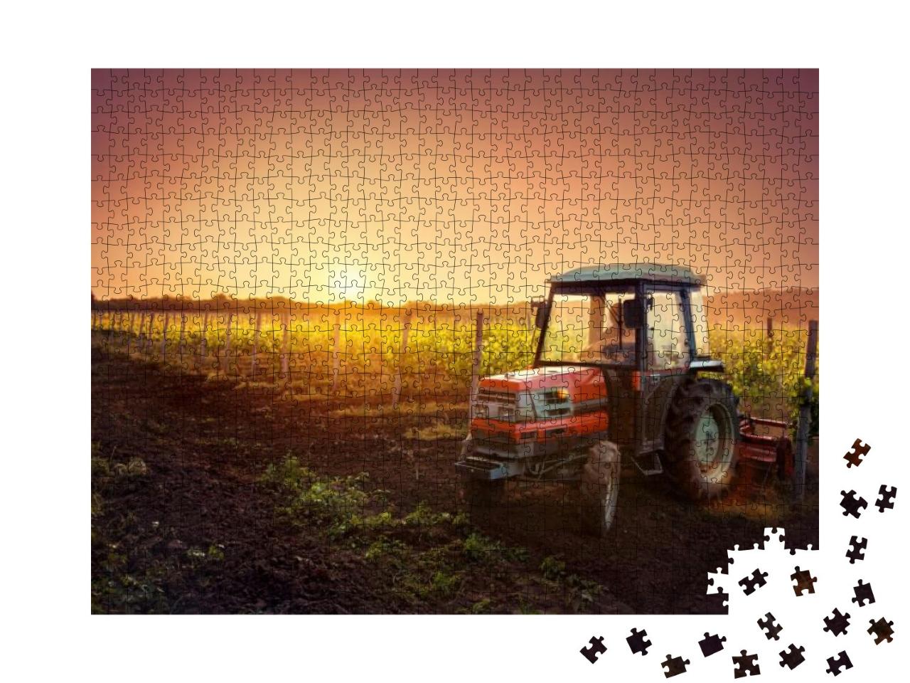 Vines on the Field & a Red Tractor At Sunset... Jigsaw Puzzle with 1000 pieces