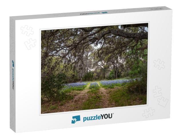 Canopy Pathway Covered with Trees Leading to a Field of T... Jigsaw Puzzle