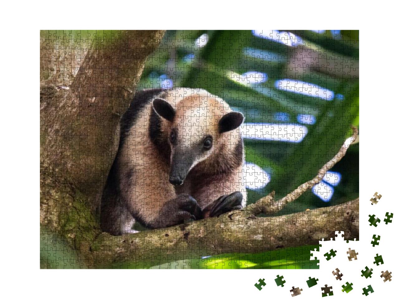 Tree Anteater Costa Rica Wild... Jigsaw Puzzle with 1000 pieces