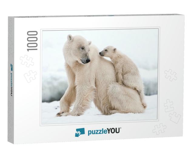 Polar Bear, Northern Arctic Predator. Polar Bear in Natur... Jigsaw Puzzle with 1000 pieces