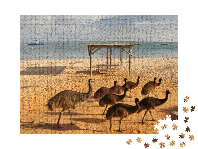 Emus on the Beach in Western Australia... Jigsaw Puzzle with 1000 pieces