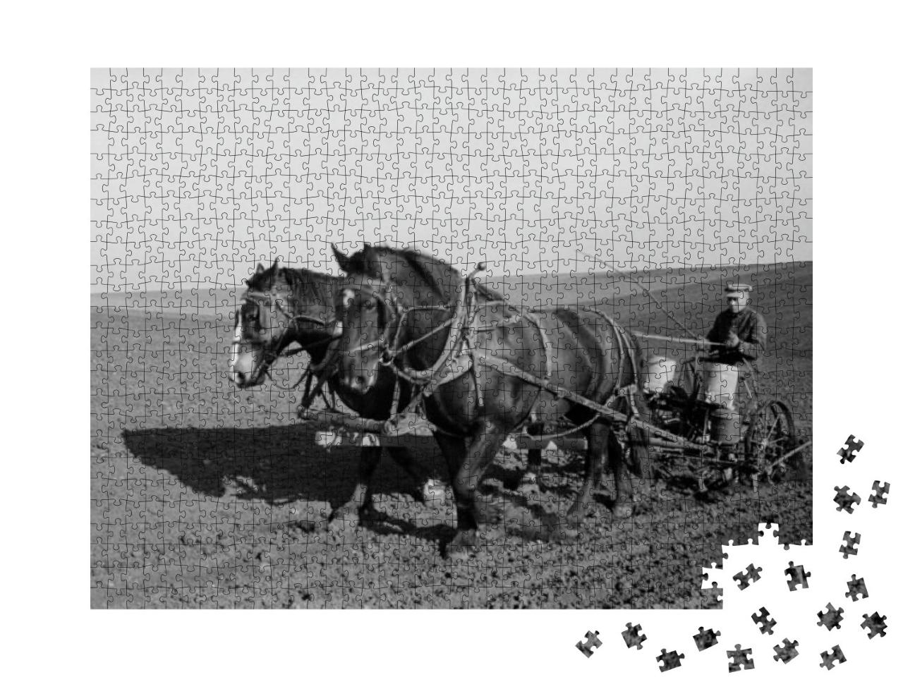 Spring Corn Planting in Jasper County, Iowa. Two Large Wo... Jigsaw Puzzle with 1000 pieces