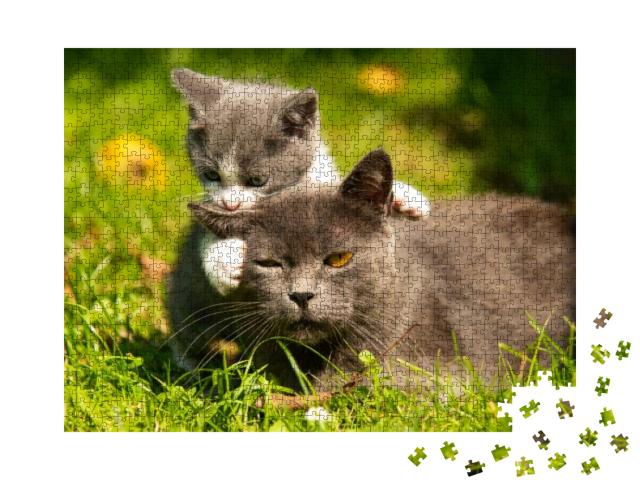 Kitten Mother Cat Kisses. Cat Hugs Kitten & Presses His F... Jigsaw Puzzle with 1000 pieces