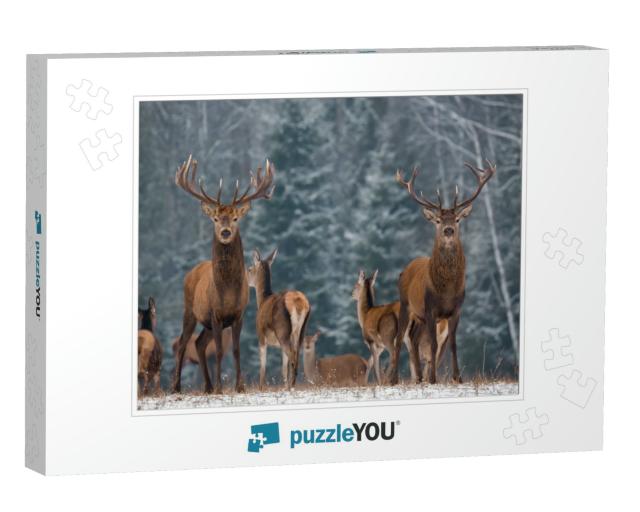 Twins. Winter Wildlife Landscape with Two Noble Deer Cerv... Jigsaw Puzzle