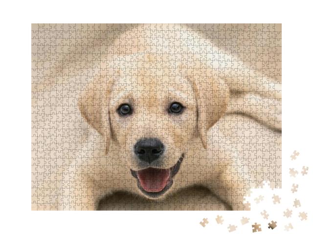 Cute Adorable Little Golden Labrador Puppy is Lying on Fl... Jigsaw Puzzle with 1000 pieces