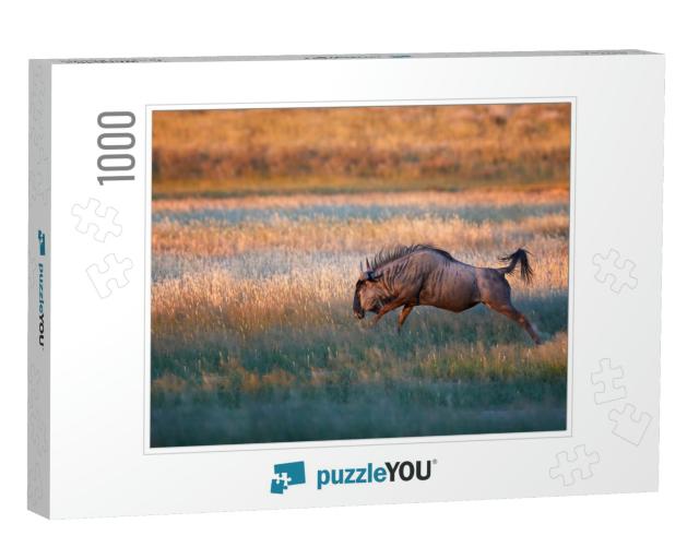 Blue Wildebeest, Connochaetes Taurinus, Large Antelope in... Jigsaw Puzzle with 1000 pieces