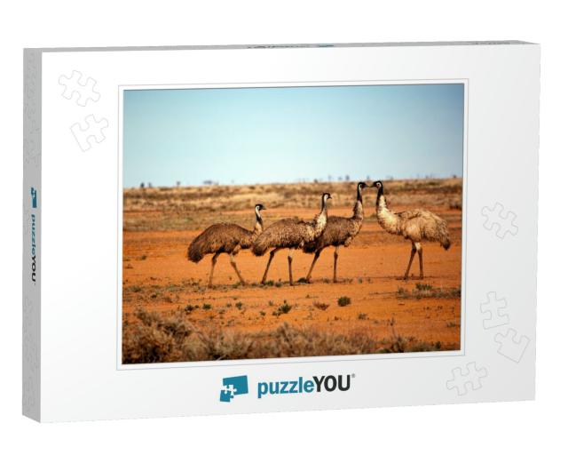 Emus in the Wild, Outback New South Wales, Australia... Jigsaw Puzzle