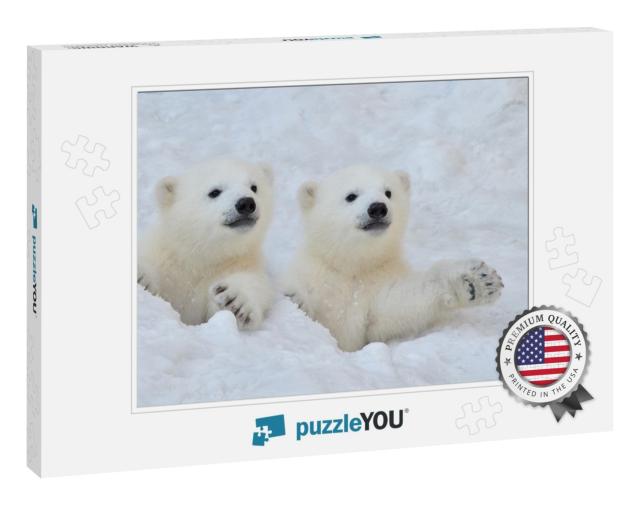 Two White Polar Bear Cubs Look Out of a Snow Hole... Jigsaw Puzzle