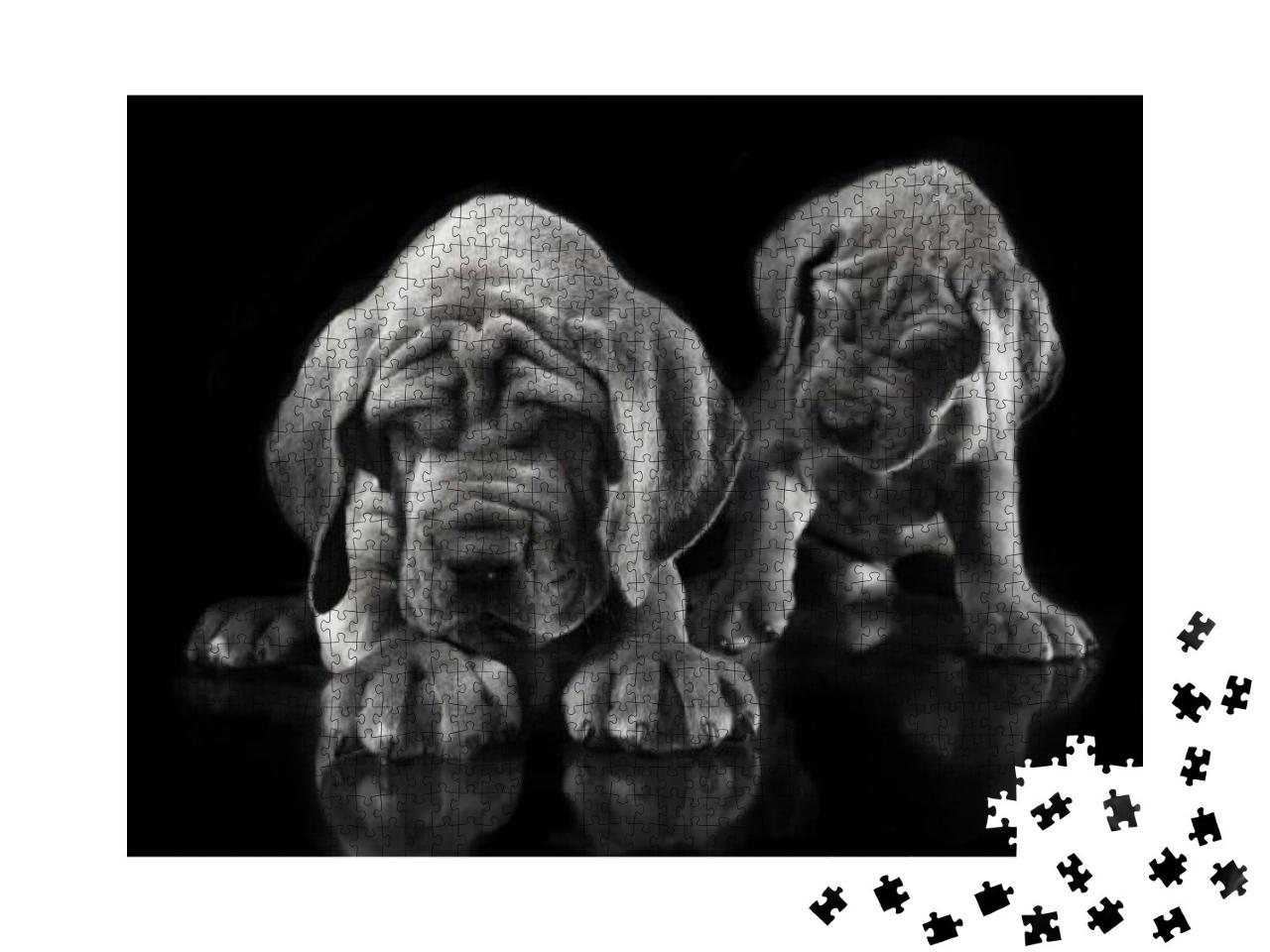 One Great Dane Puppy Purebred Waking the Other on a Black... Jigsaw Puzzle with 1000 pieces