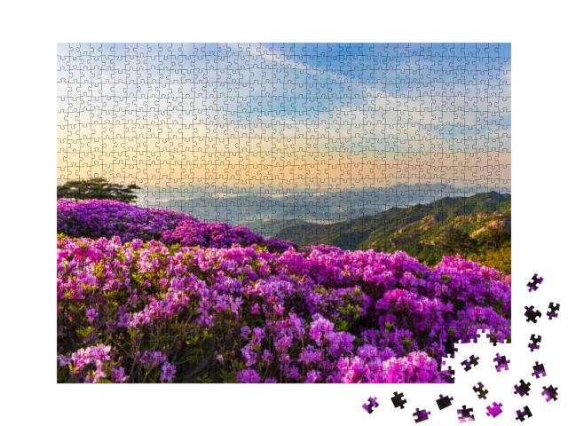 Pink Royal Azalea Blossoms on Hwangmaesan Mountain Near H... Jigsaw Puzzle with 1000 pieces