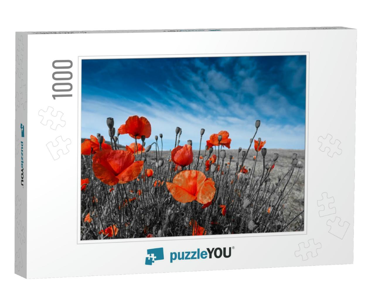 Poppies on a Meadow... Jigsaw Puzzle with 1000 pieces