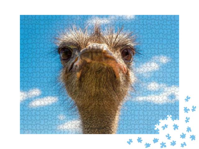 Head of Ostrich on Clear Sky Backdrop. Beak of Ostrich. P... Jigsaw Puzzle with 1000 pieces