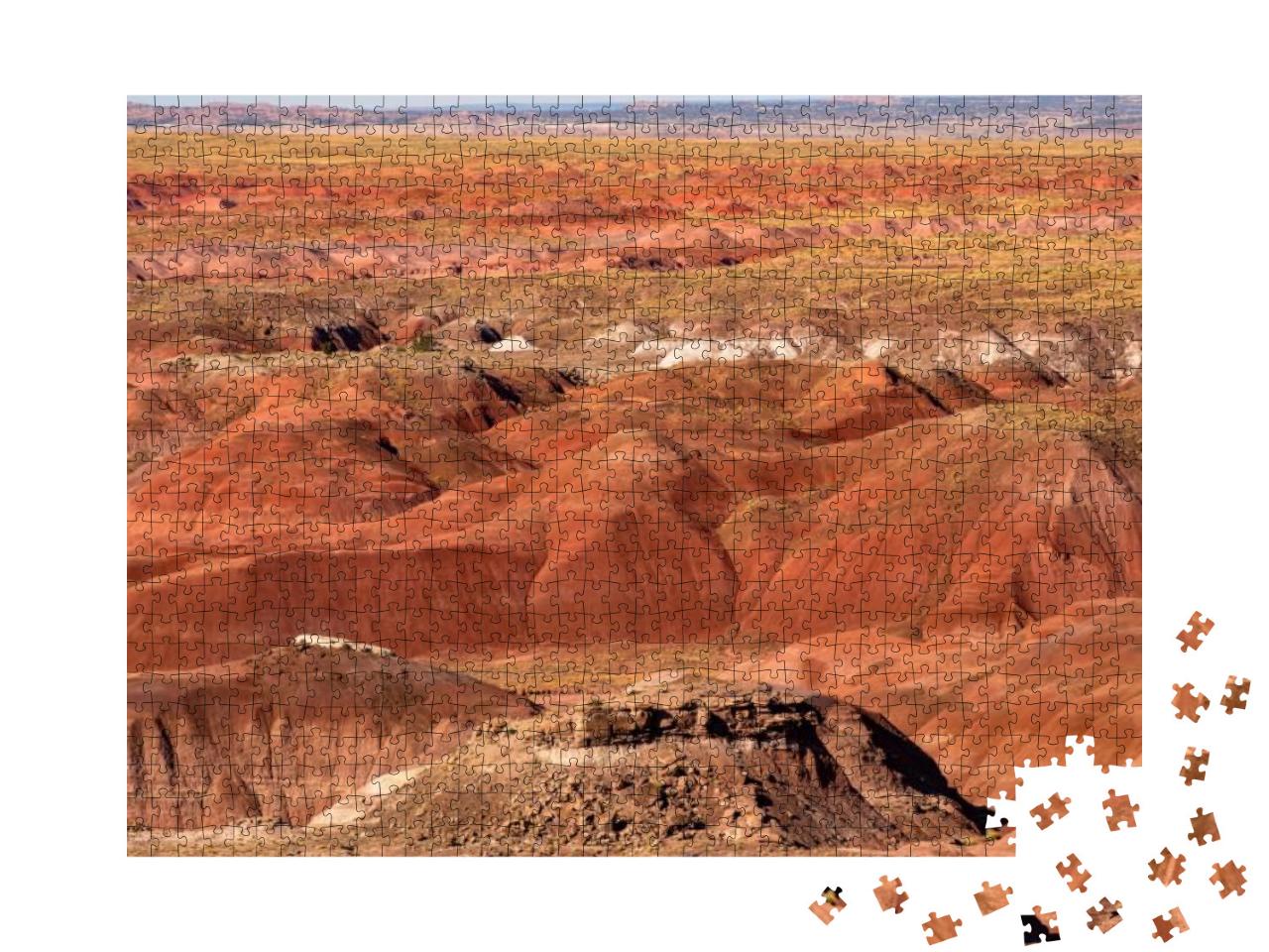 Petrified Forest National Park is in Northeastern Arizona... Jigsaw Puzzle with 1000 pieces