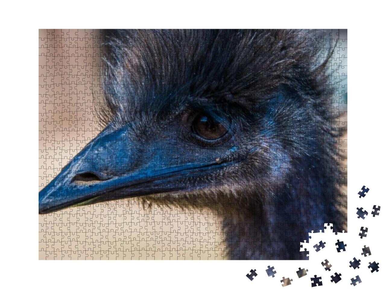 An Emu in Profile. Emus Live Only About 10 to 20 Years. E... Jigsaw Puzzle with 1000 pieces