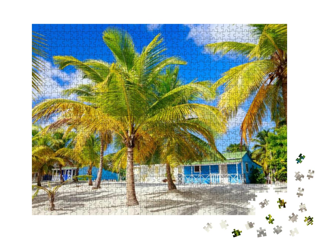 Traditional Caribbean Houses on Saona Island, Dominican R... Jigsaw Puzzle with 1000 pieces