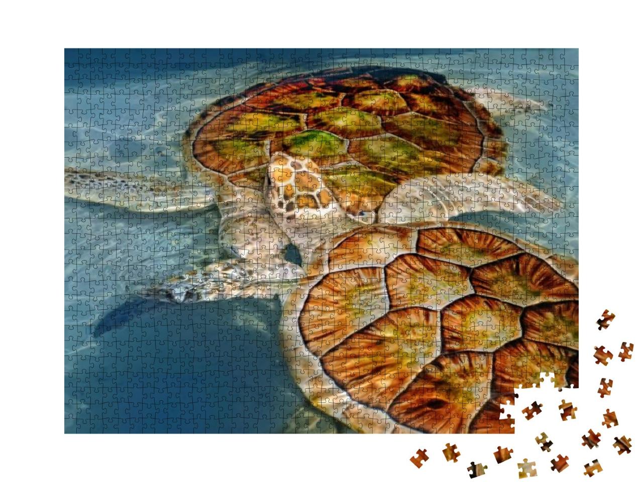 Two Turtles... Jigsaw Puzzle with 1000 pieces