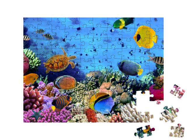 Photo of a Coral Colony, Red Sea, Egypt... Jigsaw Puzzle with 100 pieces
