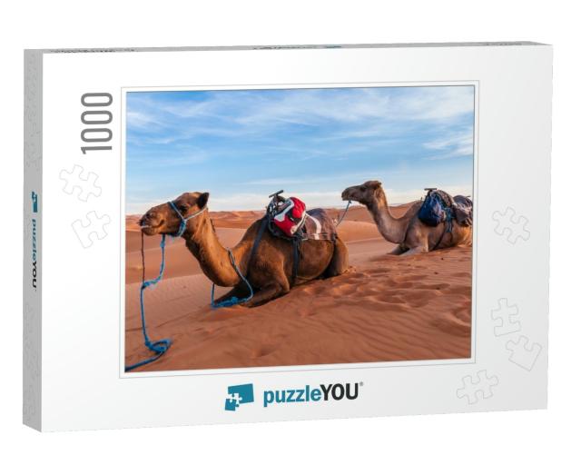 Camel Caravan in the Sahara of Morocco... Jigsaw Puzzle with 1000 pieces