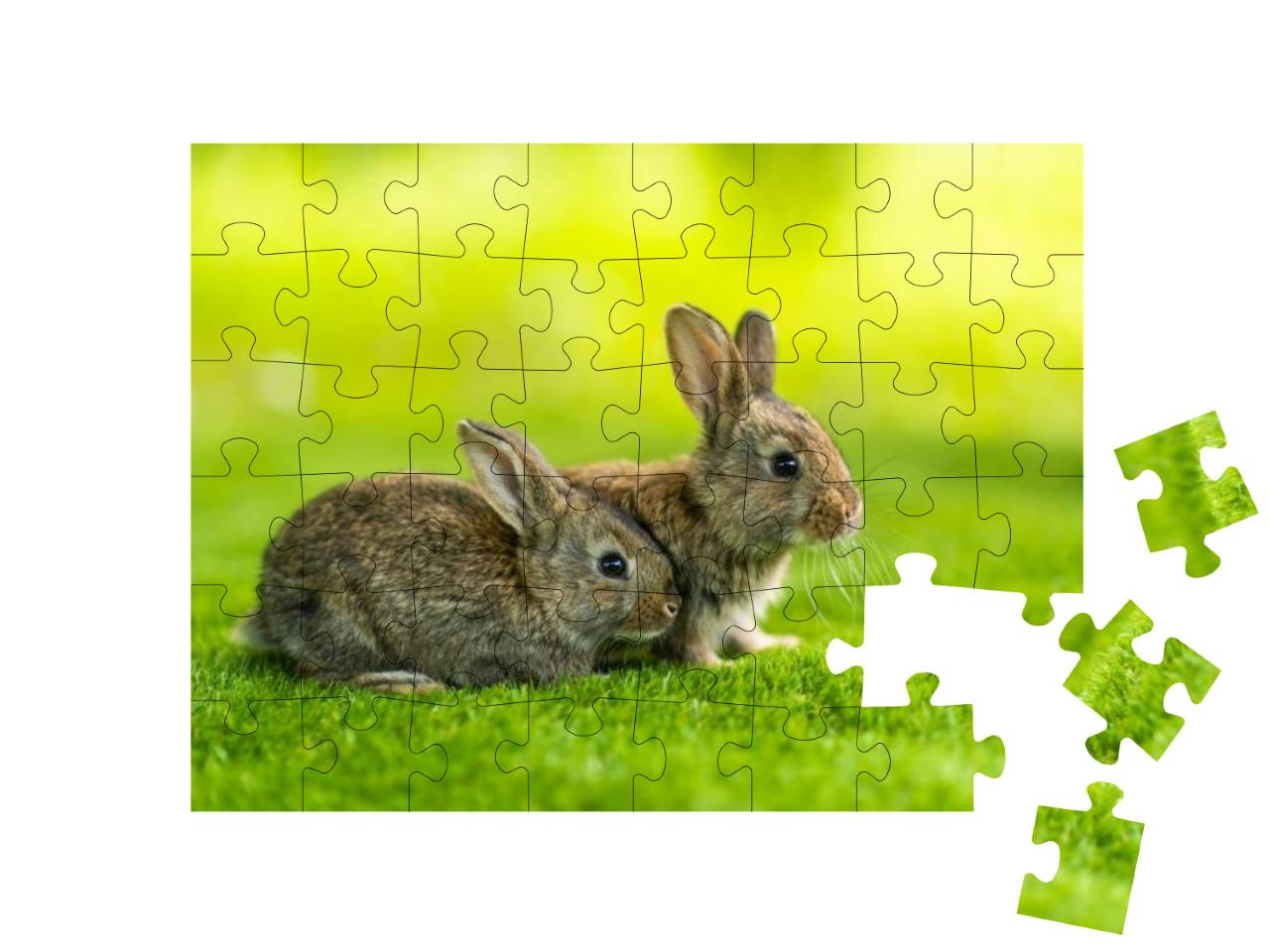 Rabbits. Cute Little Easter Bunny in the Meadow. Green Gr... Jigsaw Puzzle with 48 pieces
